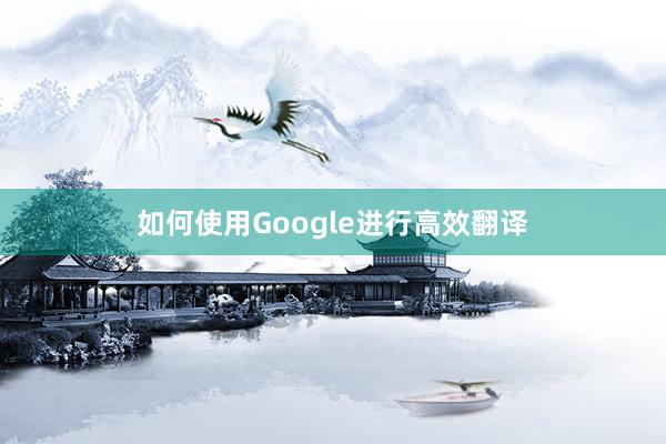 如何使用Google进行高效翻译